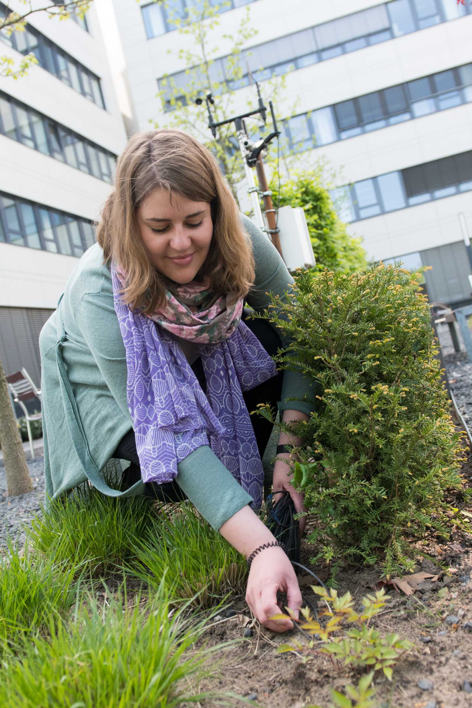 Birgitta Hörnschemeyer überprüft die Sensoren der Messstation für Bodenfeuchte. Die Daten gleicht sie mit ihren Simulationen ab. (Foto: FH Münster/Theresa Gerks)