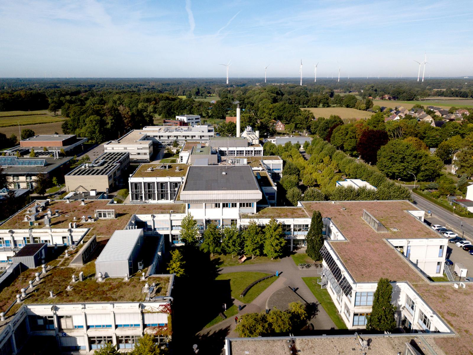 Es grünt so grün auf dem Steinfurter Campus der FH Münster: Wo es möglich ist, hat das Gebäudemanagement begrünte Dächer anlegen lassen. (Foto: FH Münster/Jens Peters)
