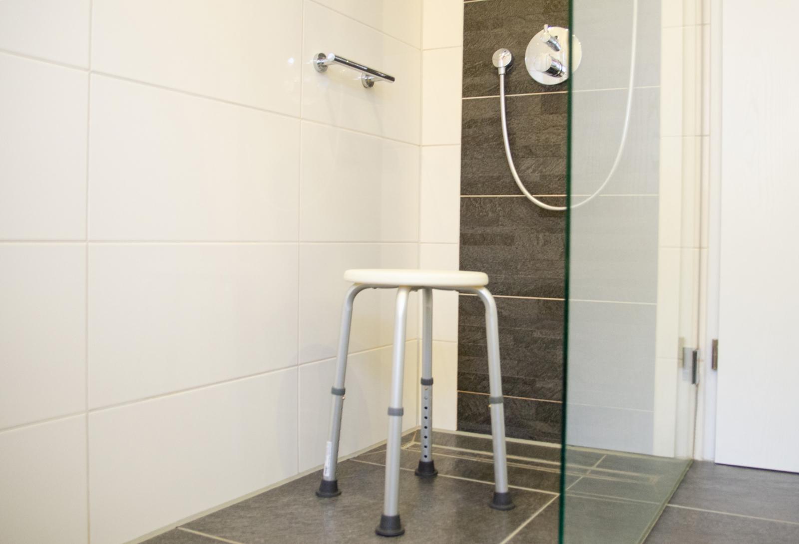 Eine ebenerdige Dusche, Griffe oder ein Badhocker: Es gibt große und kleine Tricks, seine Wohnung sturzsicherer zu gestalten. Darum geht es bei der Wohnberatung in Metelen am 12. März. (Foto: FH Münster/Theresa Gerks)