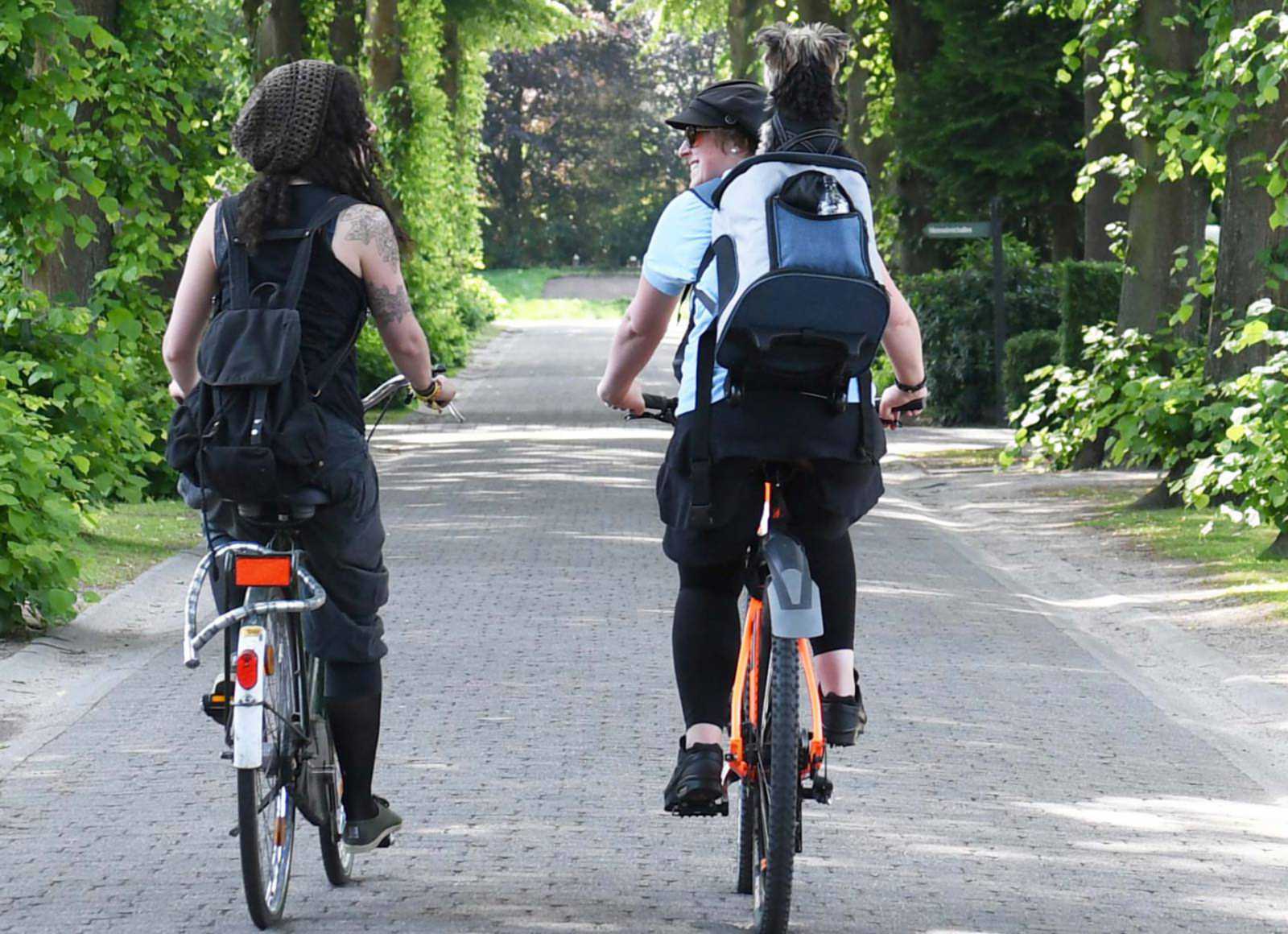 Natalie Schulze Pröbsting und Pauline Schwarte vom inklusiv angelegten Kulturlotsenprojekt am Fachbereich Sozialwesen laden zur Fahrradtour am Kanal ein. (Foto: FH Münster/Pressestelle)