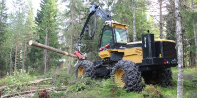Während seines Praktikums bei einem Forstwirtschaftsbetrieb mitten im schwedischen Wald machte er auch Bekanntschaft mit einem „Harvester“, einer speziellen Holzernte-Maschine.