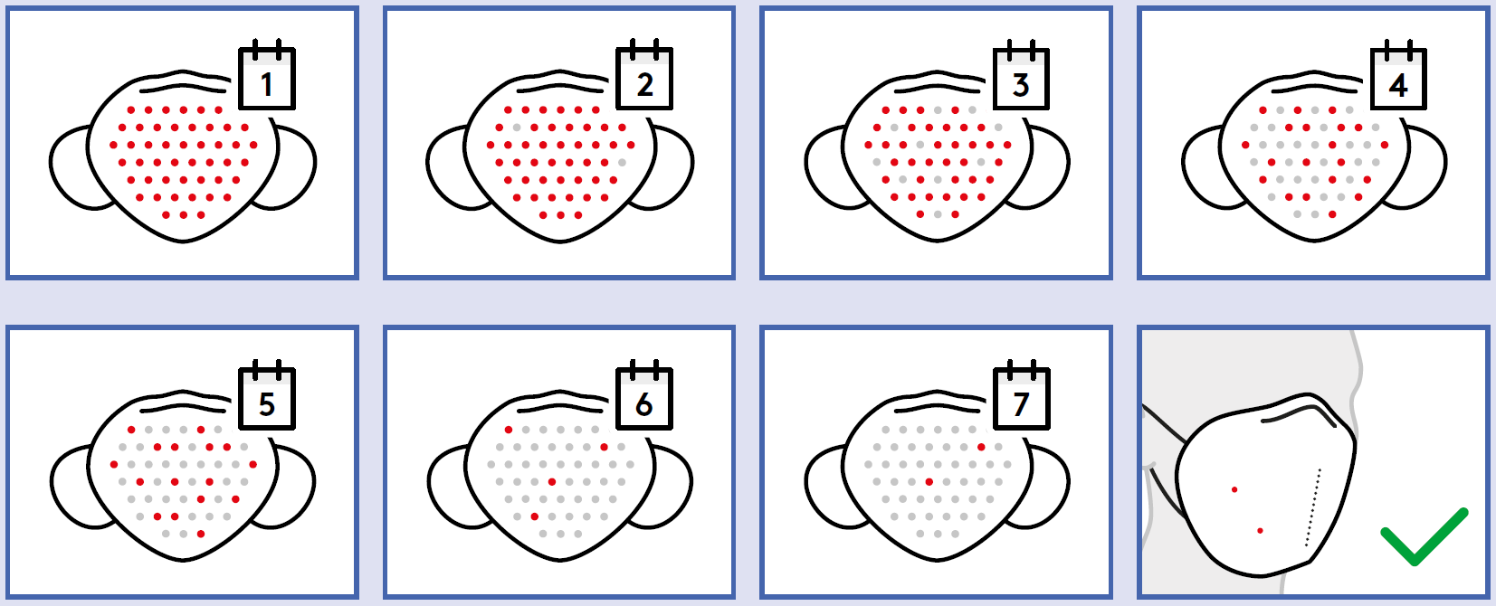 8 kleine Zeichnungen, die verdeutlichen, wie die Virusmenge während des Troknens einer FFP2 Maske bei Raumpemperatur abnimmt.