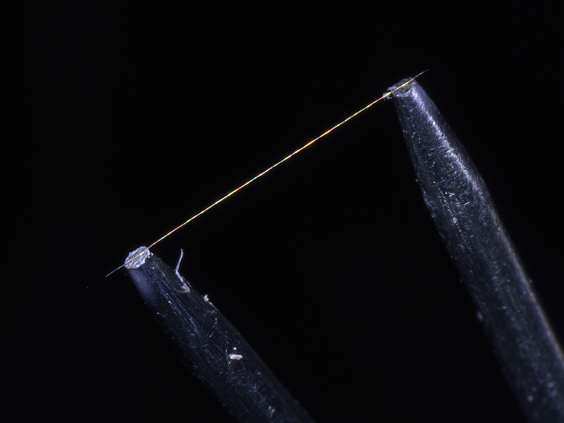 Mikroskopische Aufnahme einer CTA-Messsonde