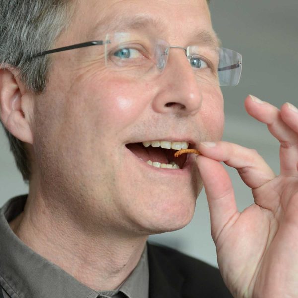 Prof. Guido Ritter isst ein Insekt.